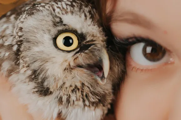 Μπετίταλ Καζίνο Υποστηριξη